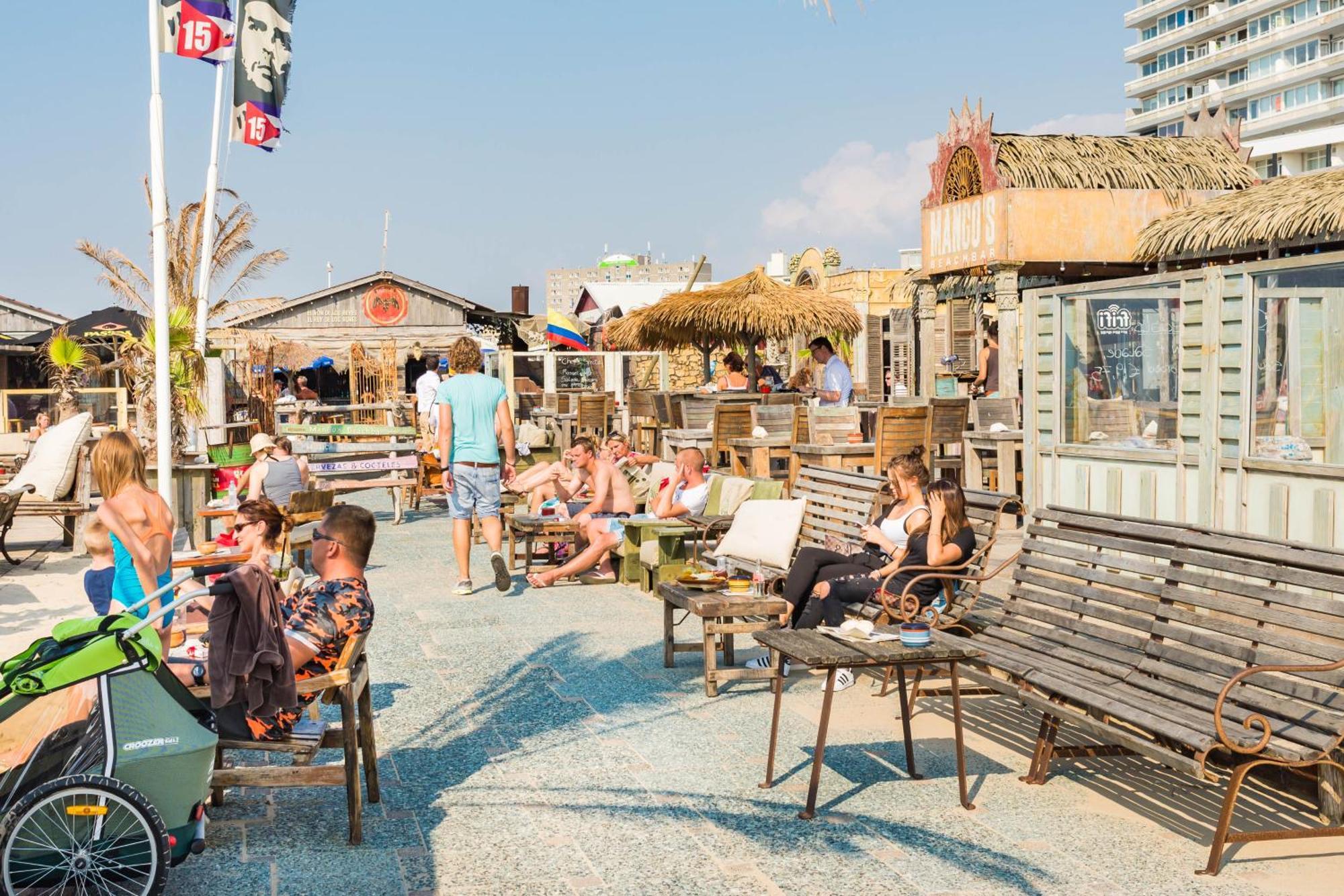 Sand & Dunes Studio Lejlighed Zandvoort Eksteriør billede