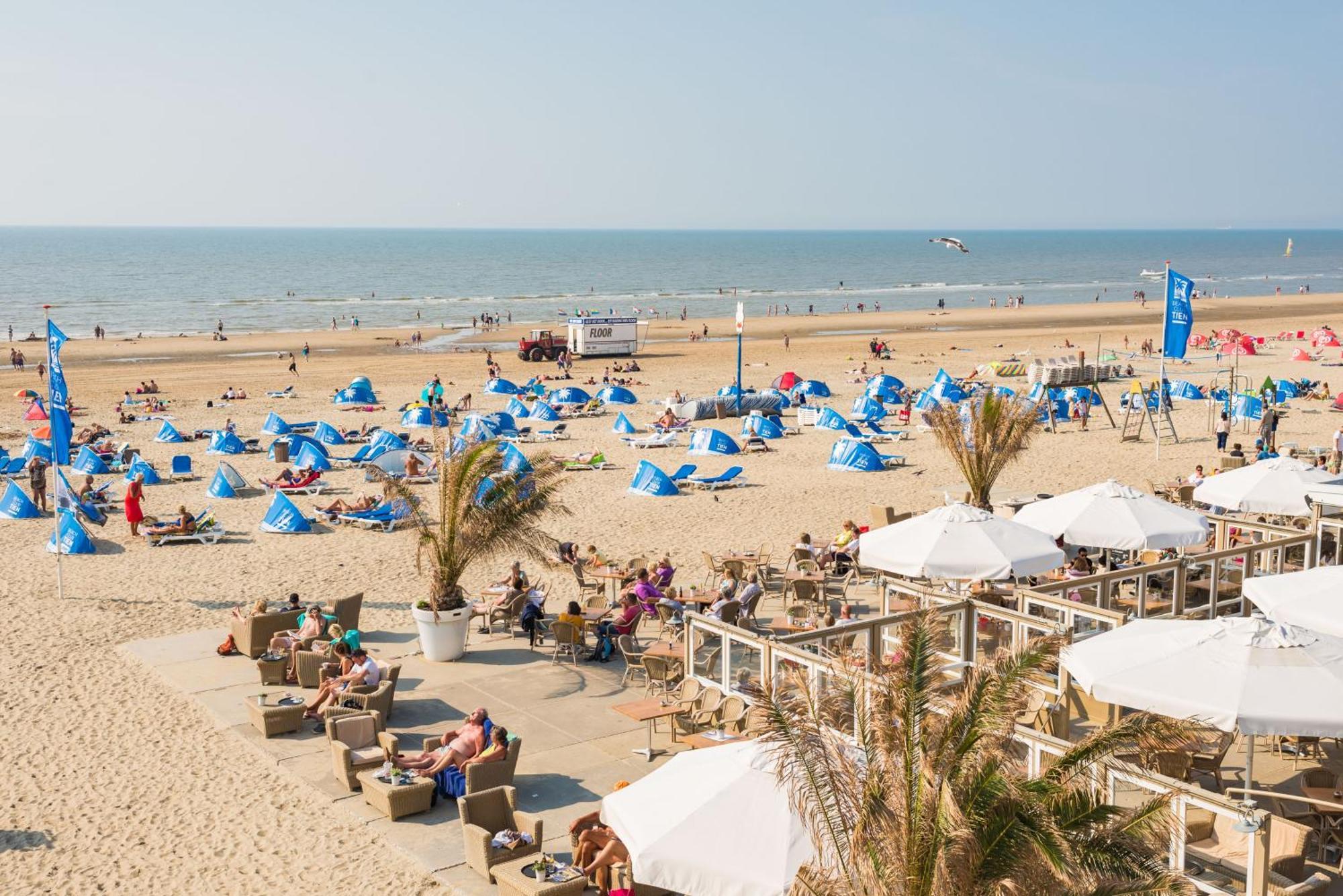 Sand & Dunes Studio Lejlighed Zandvoort Eksteriør billede